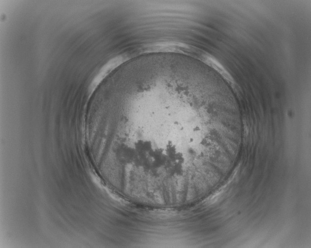 X0000061740994200512231455