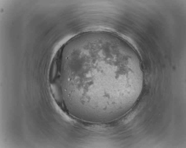 X0000061740995200512231455