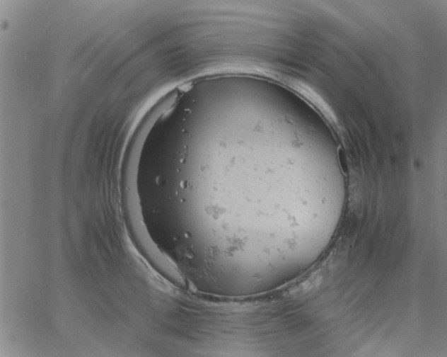 X0000061740996200512231455