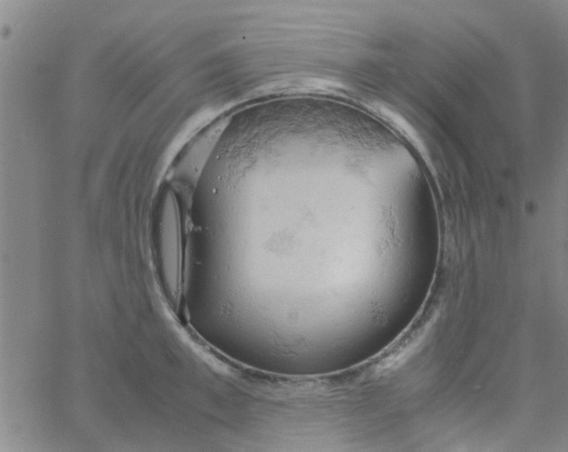 X0000061740997200512231455