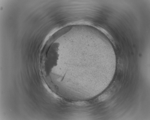 X0000061740998200512231455