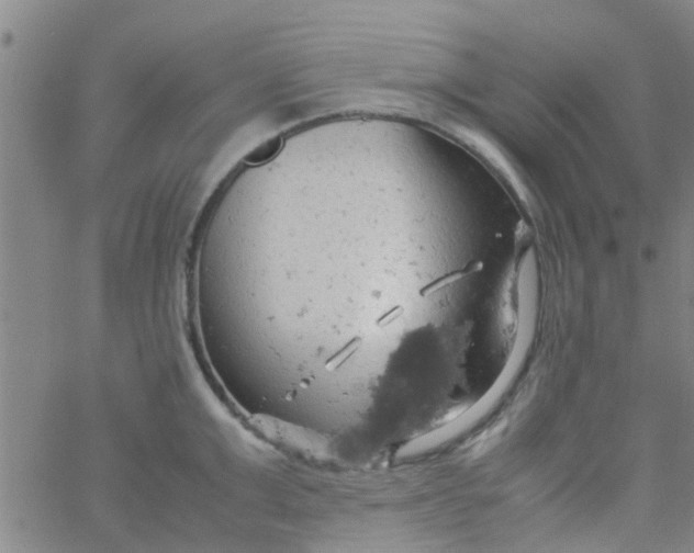 X0000061740999200512231455