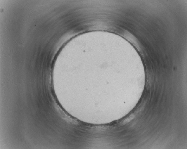 X0000061741000200512231455