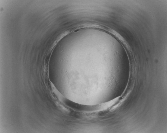 X0000061741001200512231455