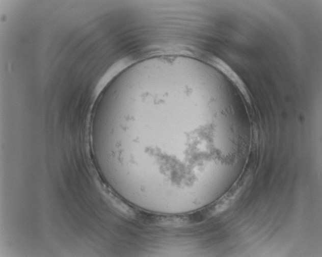 X0000061741002200512231455