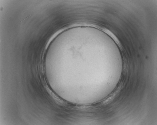 X0000061741004200512231455