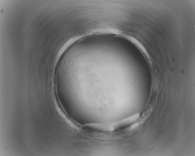 X0000061741005200512231455