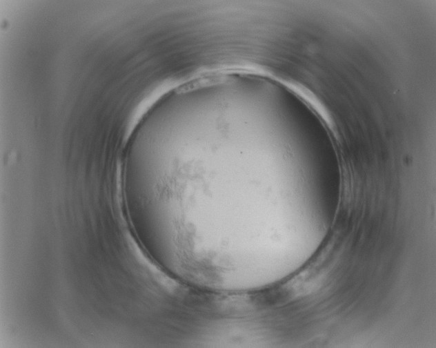 X0000061741006200512231455