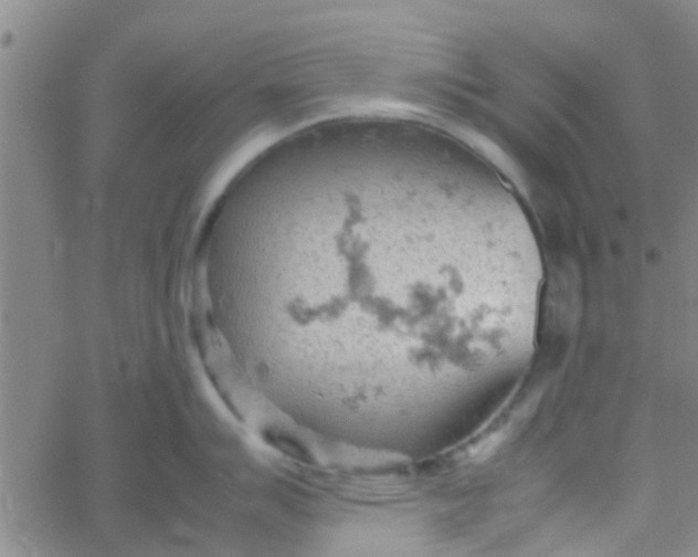 X0000061741007200512231455