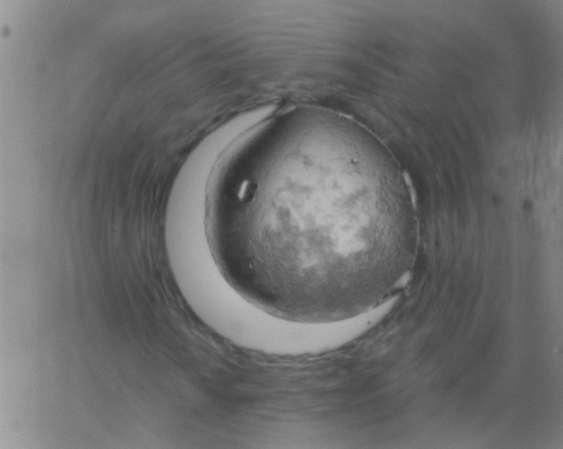 X0000061741010200512231454