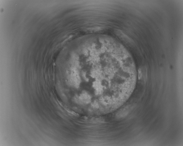 X0000061741011200512231454