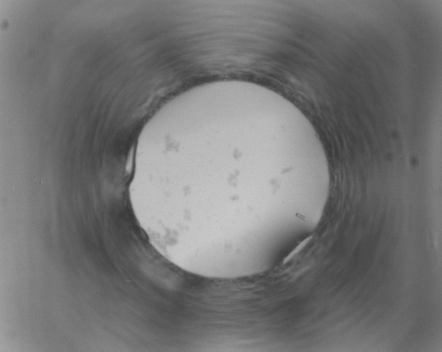 X0000061741012200512231454