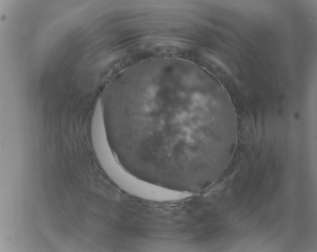 X0000061741013200512231454