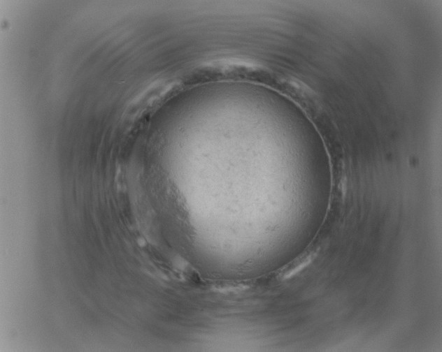 X0000061741014200512231454