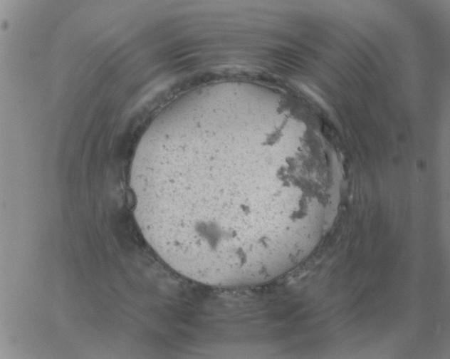 X0000061741015200512231454