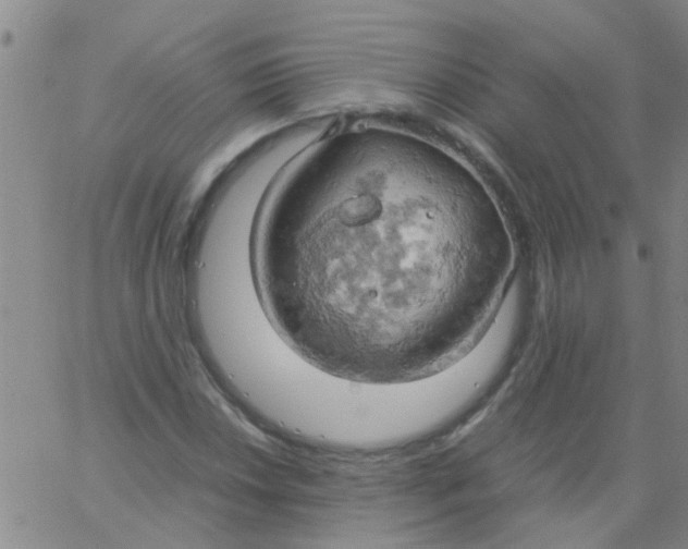 X0000061741018200512231454