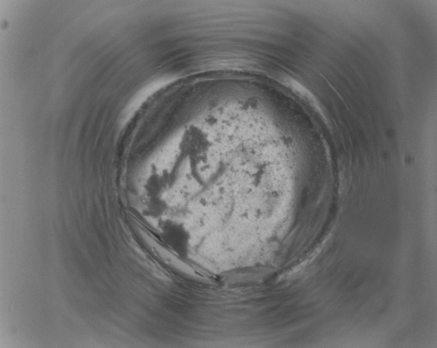 X0000061741019200512231454