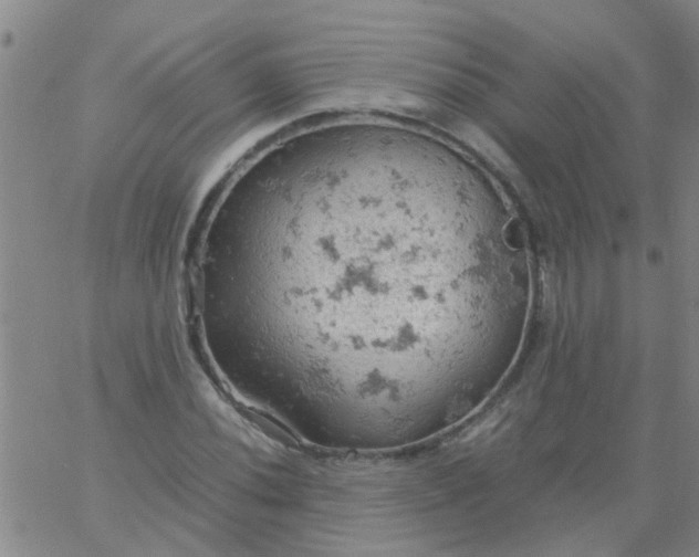 X0000061741020200512231454