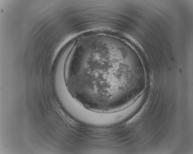 X0000061741021200512231454