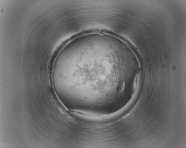 X0000061741022200512231454