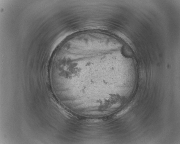 X0000061741023200512231454