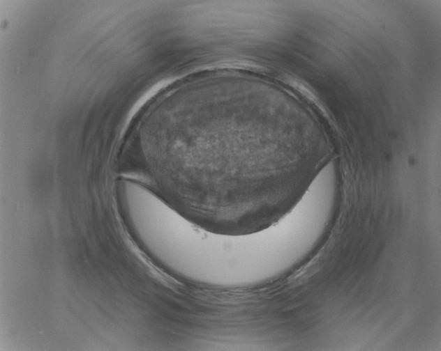 X0000061741024200512231454