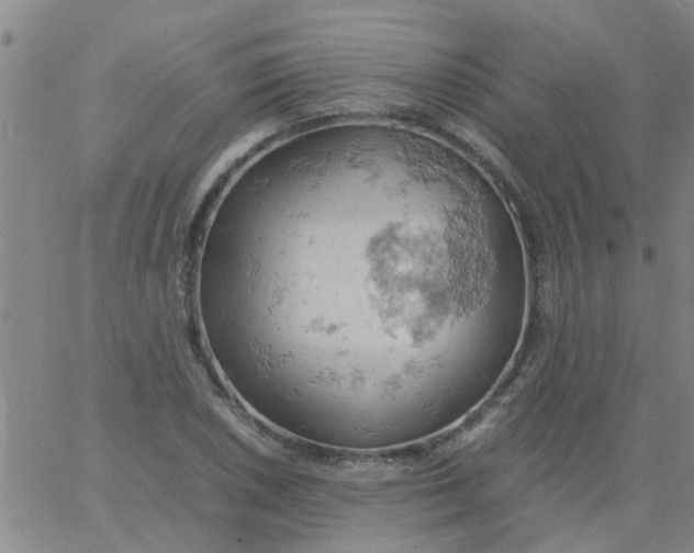 X0000061741026200512231454