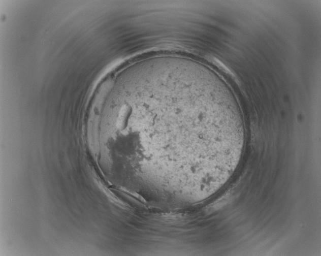 X0000061741029200512231455