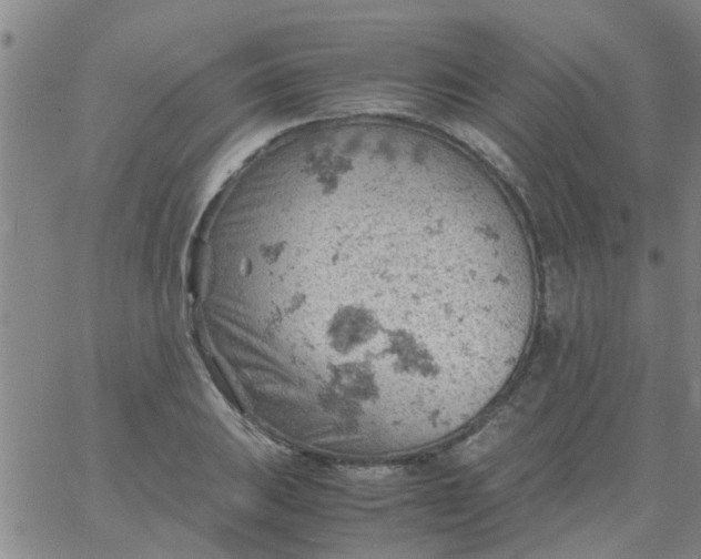 X0000061741031200512231455