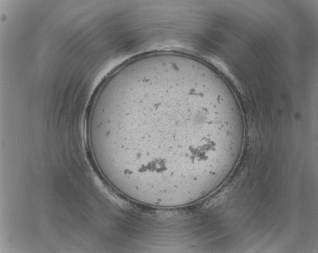 X0000061741032200512231455