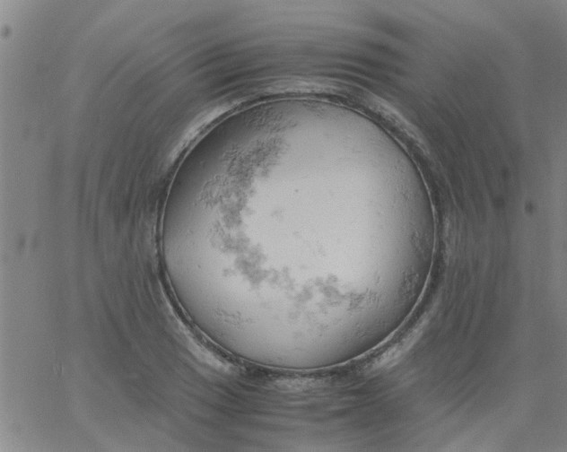 X0000061741033200512231455