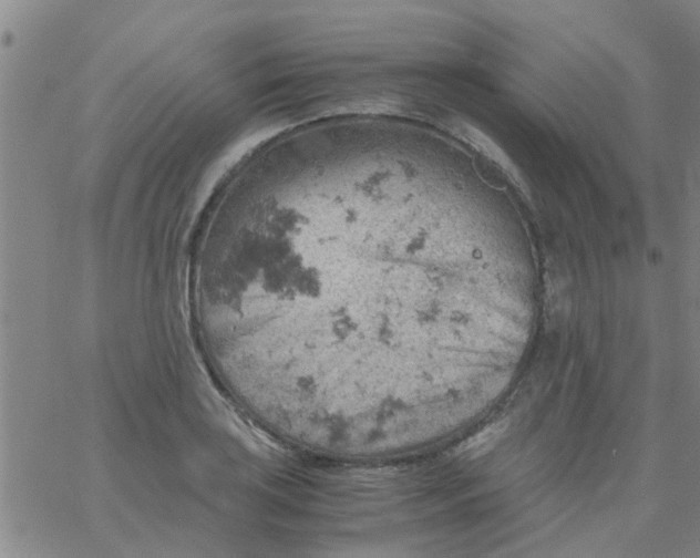 X0000061741035200512231455