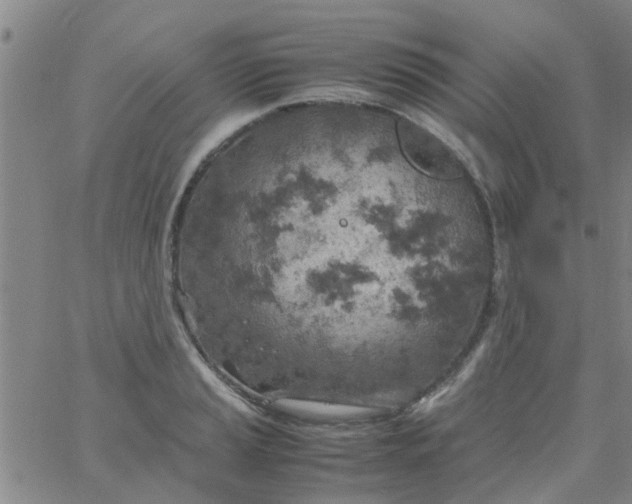 X0000061741037200512231455