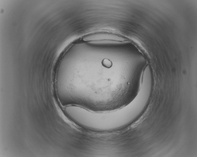 X0000061741038200512231455