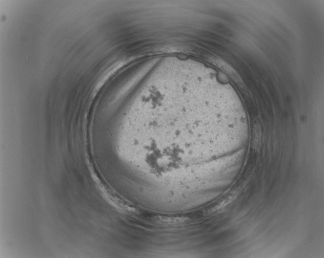 X0000061741039200512231455