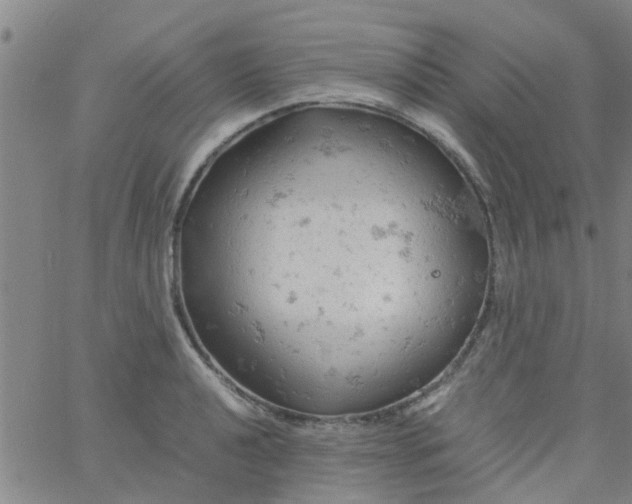 X0000061741040200512231455