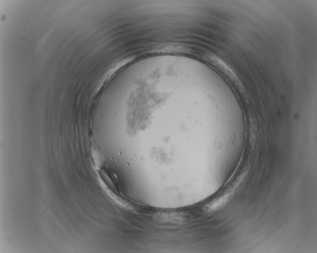 X0000061741041200512231455