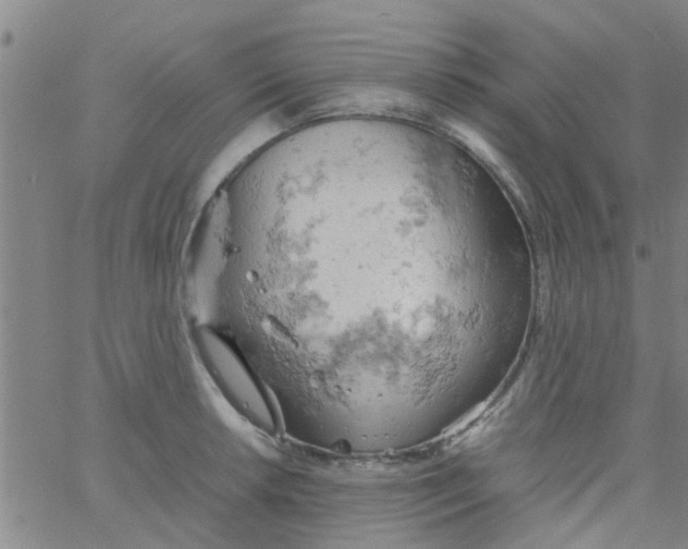 X0000061741042200512231455