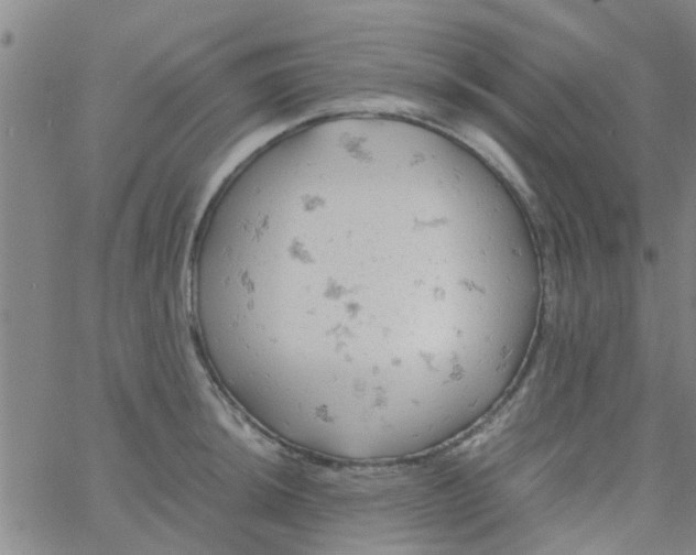 X0000061741044200512231455