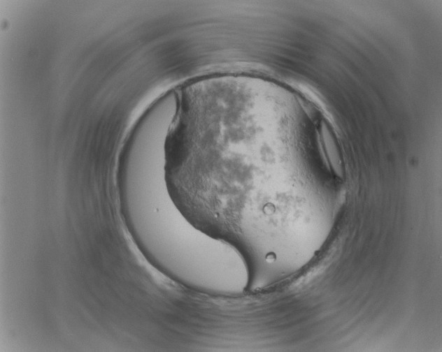 X0000061741046200512231455