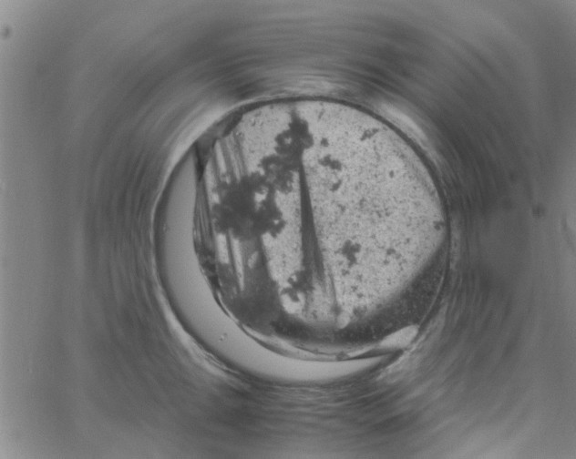 X0000061741047200512231455