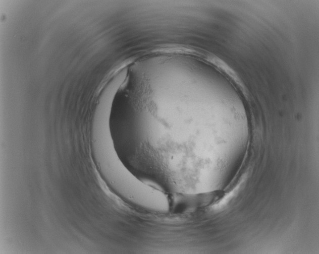 X0000061741049200512231455