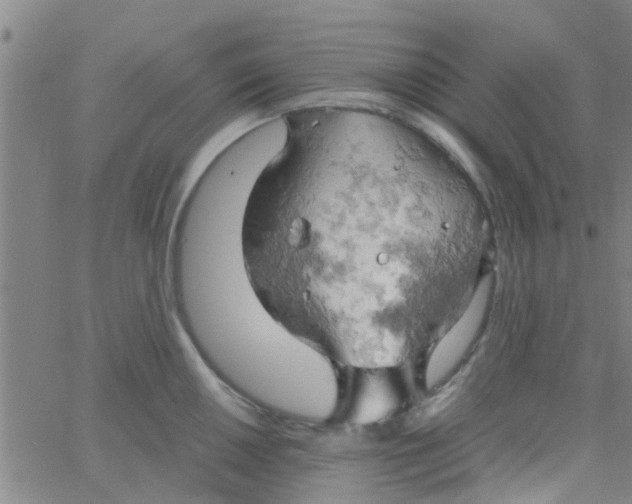 X0000061741050200512231455