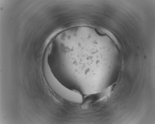 X0000061741051200512231455