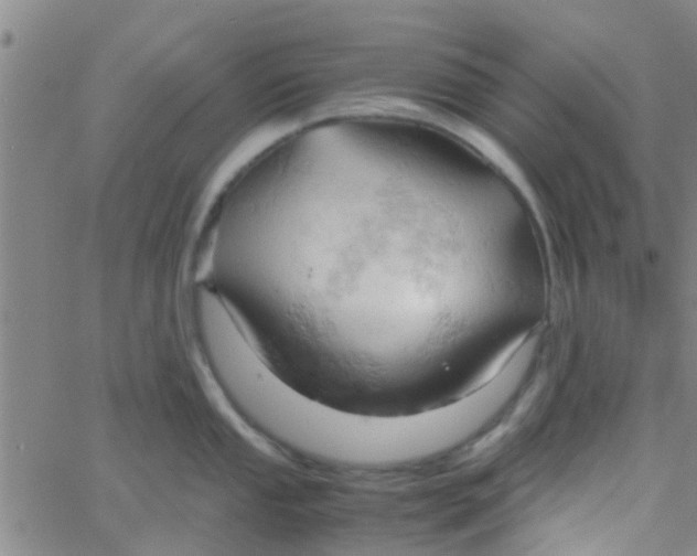 X0000061741053200512231455