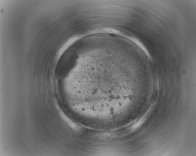 X0000061741054200512231455