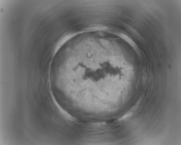 X0000061741055200512231455