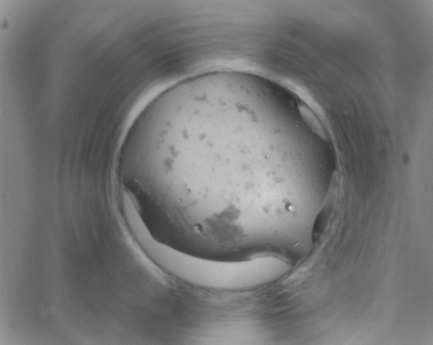 X0000061741056200512231455