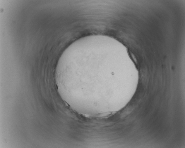 X0000061741057200512231454