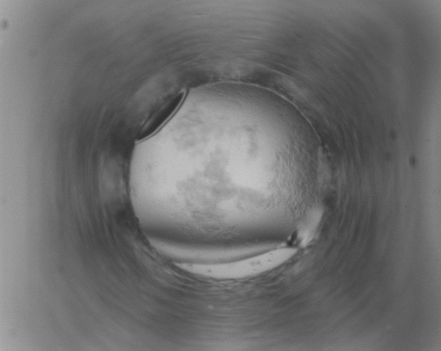 X0000061741058200512231454